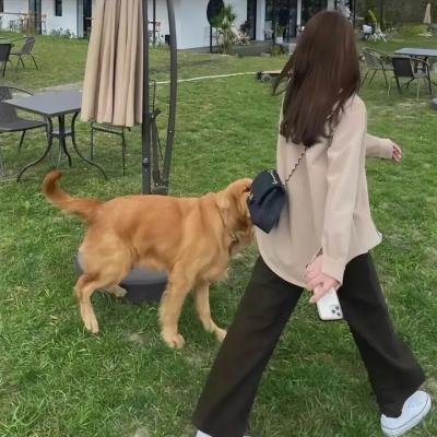 罪爱妳